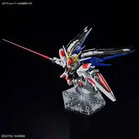 Gundam Models - MOBILE SUIT GUNDAM SEED / Freedom Gundam