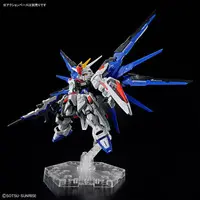 Gundam Models - MOBILE SUIT GUNDAM SEED / Freedom Gundam