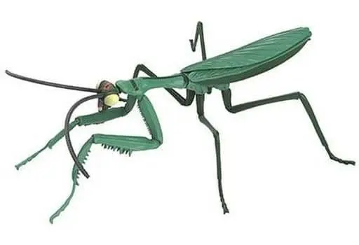 Plastic Model Kit - Yatterman / Tenodera aridifolia