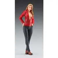 1/12 Scale Model Kit - Real Figure Collection