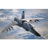 Ace Combat 7 / Skies Unknown ASF-X Shinden II Model Kit