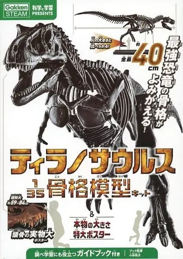 1/35 Scale Model Kit - Dinosaur skeleton model kit