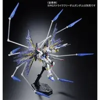 Gundam Models - MOBILE SUIT GUNDAM SEED DESTINY / Strike Freedom Gundam
