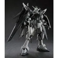 Real Grade Destiny Gundam Deactive Mode Model Kit