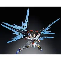 Gundam Models - MOBILE SUIT GUNDAM SEED / Strike Freedom Gundam
