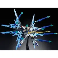 Gundam Models - MOBILE SUIT GUNDAM SEED / Strike Freedom Gundam