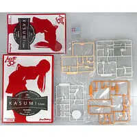 1/20 Scale Model Kit - PLAMAX - DEAD OR ALIVE / Kasumi