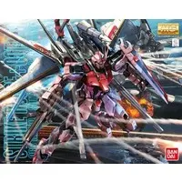 Gundam Models - MOBILE SUIT GUNDAM SEED DESTINY / Strike Rouge