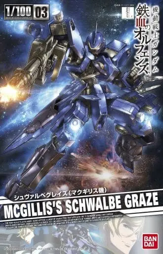 McGillis's Schwalbe Graze Model Kit