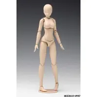 1/12 Scale Model Kit - Option system