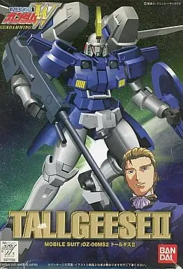 Gundam Models - NEW MOBILE REPORT GUNDAM WING / Tallgeese