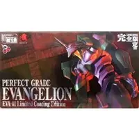 Plastic Model Kit - EVANGELION / Ayanami Rei & Evangelion Unit-01