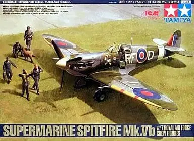 1/48 Scale Model Kit - Fighter aircraft model kits / Supermarine Spitfire