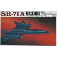 1/144 Scale Model Kit - Aircraft / SR-71 Blackbird