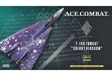 1/72 Scale Model Kit - Ace Combat / F-14