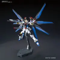 Gundam Models - MOBILE SUIT GUNDAM SEED DESTINY / Strike Freedom Gundam