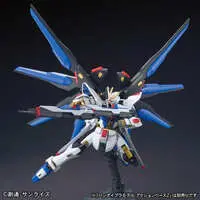Gundam Models - MOBILE SUIT GUNDAM SEED DESTINY / Strike Freedom Gundam