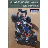 McLaren MP4/30 Model Kit