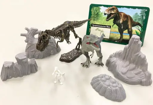 Plastic Model Kit - Dinosaur Model Kits