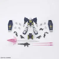 Gundam Models - Mobile Suit Gundam Thunderbolt / RX-79[G] Gundam Ground Type