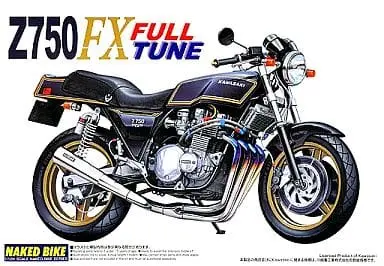 Kawasaki Z750 FX Full Tune Model Kit