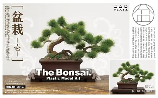 1/12 Scale Model Kit - THE BONSAI