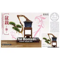 1/12 Scale Model Kit - THE BONSAI