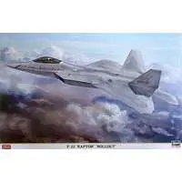 1/48 Scale Model Kit - Aircraft / F-22 Raptor