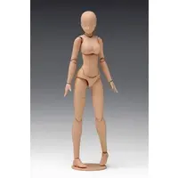 1/12 Scale Model Kit - Movable Body