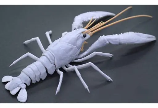 Plastic Model Kit - Jiyuu Kenkyuu Series / Procambarus clarkii