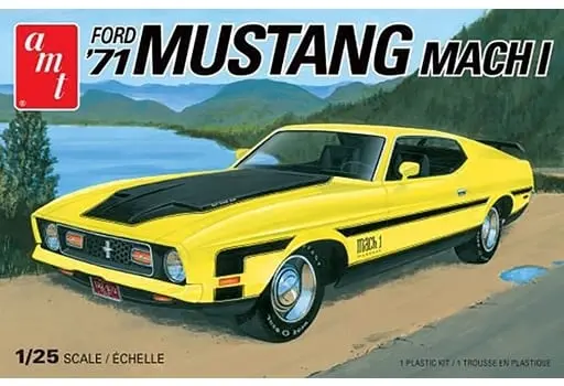 1/25 Scale Model Kit - Ford