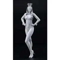 1/12 Scale Model Kit - Real Figure Collection