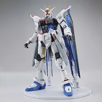 Gundam Models - MOBILE SUIT GUNDAM SEED / Freedom Gundam