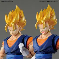 Figure-rise Standard - DRAGON BALL / Vegito & Majin Buu