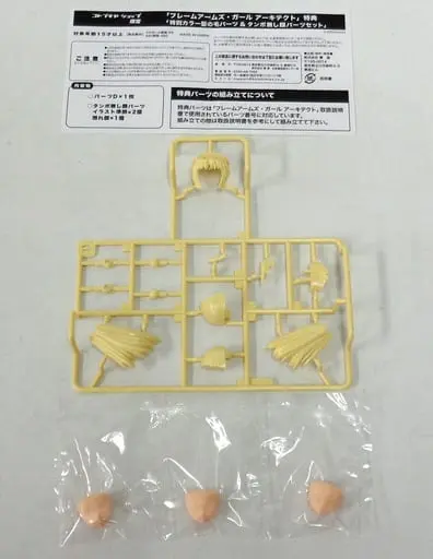 Plastic Model Kit - Plastic Model Parts - FRAME ARMS GIRL / Architect