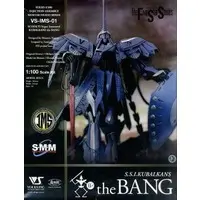 1/100 Scale Model Kit - The Five Star Stories