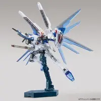 Gundam Models - MOBILE SUIT GUNDAM SEED / Freedom Gundam