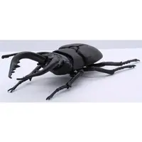 Plastic Model Kit - Insect / Stag beetle