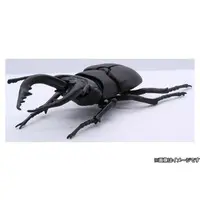 Plastic Model Kit - Insect / Stag beetle