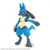 Pokemon PLAMO - Pokémon / Riolu & Lucario