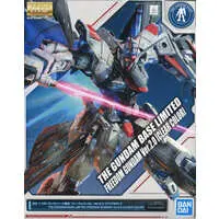 Gundam Models - MOBILE SUIT GUNDAM SEED / Freedom Gundam