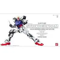 Gundam Models - MOBILE SUIT GUNDAM SEED / Strike Gundam