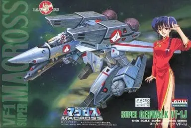 1/100 Scale Model Kit - Super Dimension Fortress Macross / Ichijo Hikaru & Hayase Misa & Lynn Minmay