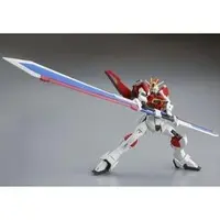 Gundam Models - MOBILE SUIT GUNDAM SEED / Freedom Gundam & Sword Impulse Gundam