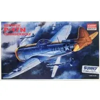 1/48 Scale Model Kit - Fighter aircraft model kits / P-47 Thunderbolt