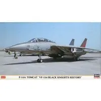 1/72 Scale Model Kit - Fighter aircraft model kits / F-14