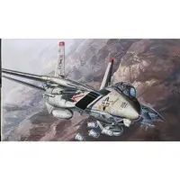 1/72 Scale Model Kit - Fighter aircraft model kits / F-14