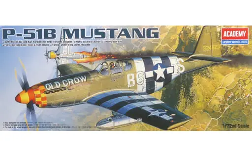 1/72 Scale Model Kit - Fighter aircraft model kits / North American P-51 Mustang