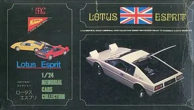 1/24 Scale Model Kit - Memorial Car Collection