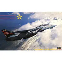 1/72 Scale Model Kit - Fighter aircraft model kits / F-14